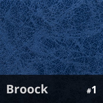 Broock 1